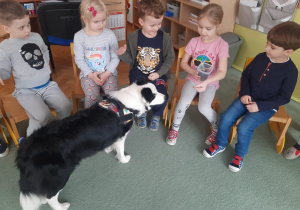 Dzieci witają się z psem.