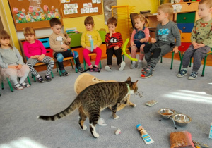 Dzieci oglądają kocie zabawki, Simba chodzi pomiędzy rzeczami rozłożonymi na dywanie.