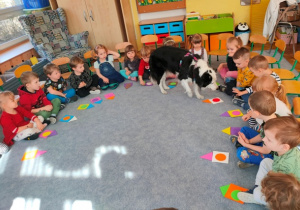 Dzieci siedzą na dywanie, ułożone mają przed sobą figurowe budy dla psa. LIli chodzi pomiędzy dziećmi.