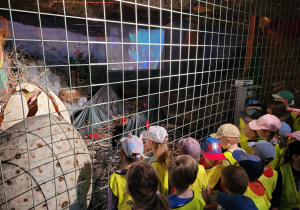 Dzieci oglądają narodziny małego dinozaura i wybuch wulkanu.