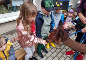 Dzieci witają się z Alpakami.