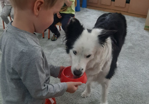 Chłopiec daje psu pić.