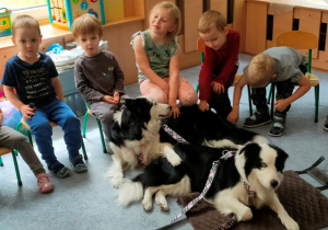 Chwila relaksu- dzieci delikatnie głaszczą psy leżące na dywanie.