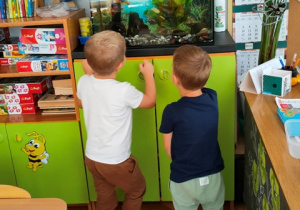 Dwaj chłopcy z zainteresowaniem obserwują rybki w akwarium.