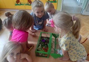 Dzieci oglądają hodowlę ślimaków.