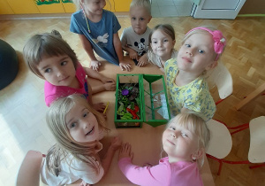 Dzieci siedzą przy stolę i oglądają hodowlę ślimaków.