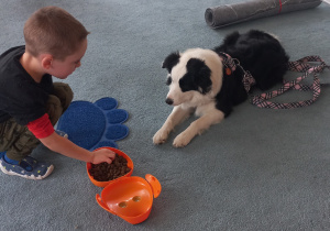 Chłopiec karmi psa.