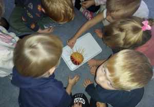 Dzieci w grupach wykonują jeża z jabłek i wykałaczek.