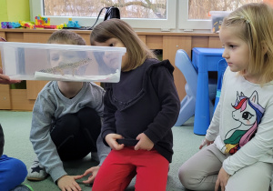Kolejne dzieci obserwują z bliska gekona.
