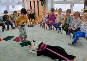 Chłopiec idzie po dywanikach w kształcie psich łapek, aby przywitać się z Lili.