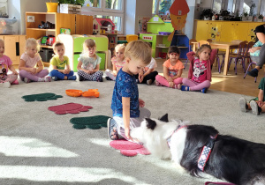 Chłopiec wita się z Lili pysznym psim smakołykiem.