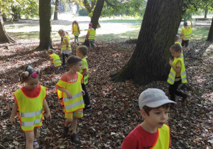 Dzieci z grupy 'Biedronki' szukają kasztanów.