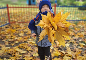Chłopiec trzyma w ręku bukiet żółtych liści.