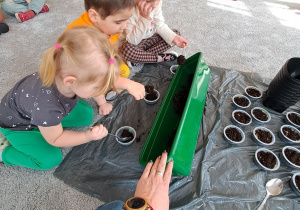 Dzieci szykują pojemniki z ziemią do zasadzenia.