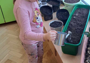 Dziewczynka podlewa rośliny w kąciku przyrodniczym.