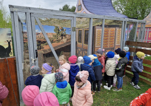 Dzieci przyglądają się królikom.