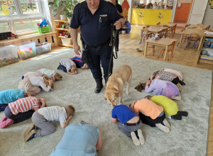 Animal Patrol - zajęcia edukacyjne