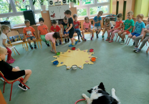 Dziewczynka ustawia psią miseczkę pomiędzy ramionami promieni zgodnie z kolorem łapek.