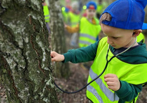 Zmysł słuchu Dzieci badają drzewa. Chłopiec stetoskopem próbuje usłyszeć jak oddycha drzewo.