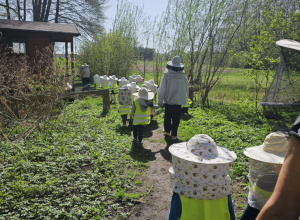Dzieci w kapeluszach pszczelarskich wędrują ścieżka do Pasieki.