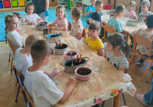 Dzieci siedzą przy stolikach na których naszykowane są pojemniki z ziemią i keramzytem.