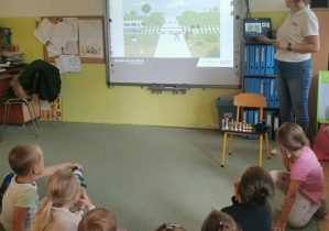 Dzieci oceniają różne sytuacje i zachowania ludzi w pobliżu przejazdu kolejowo - drogowym.