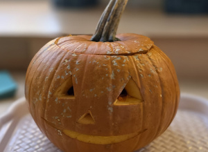 Warsztaty Inwencji Twórczej, spotkanie 2