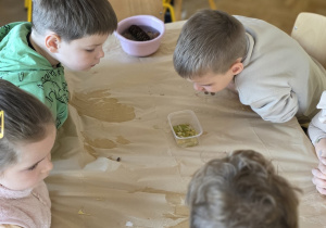 Dzieci obserwują barwnik wydobywający się z jesiennych liści.