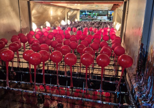 Pomalowane bombki na etapie schnięcia.