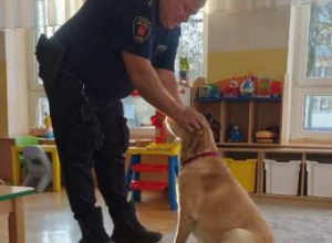 Zdjęcie funkcjonariusza Animal Patrolu z biszkoptową labradorką.
