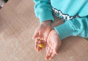 Dziecko formuje kuleczkę plastelinową w dłoni.