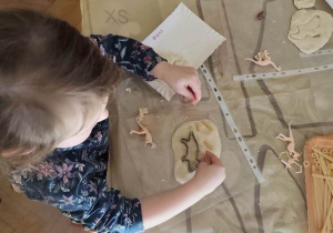 Dziewczynka wycima foremką sylwetę dinozaura.