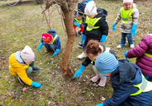 Grupa dzieci zbiera śmieci wokół drzewa.