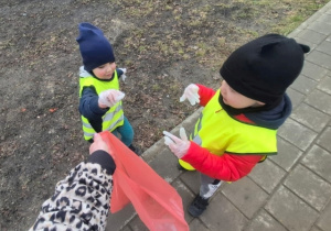 Mrówki przynoszą zebrane "skarby" do worka foliowego.