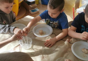 Chłopcy za pomocą pipety i octu wyszukują szczątków dinozaurów.