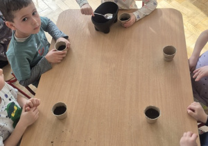 Dziewczynka wsypuje ziemię do swojej doniczki.