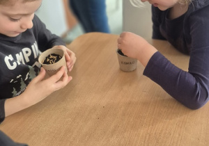 Dzieci patrzą na swój zasiany owies.