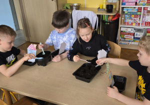 Dzieci sieją rzeżuchę: etap 1 - przygotowanie podłoża.