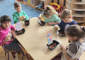 Dzieci sieją rzeżuchę: etap 2 - sypanie nasion.