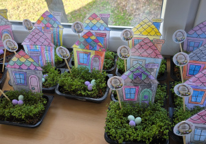 Posiana rzeżucha kilka dni później.