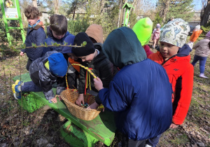 Chłopcy liczą ile jajek znaleźli w ogrodzie.