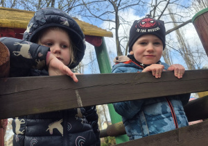 Dzieci bawią się w ogrodzie przedszkolnym