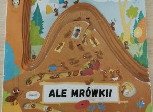 Książka "Ale mrówki"