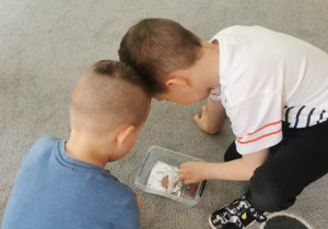 Chłopcy szukają obrazków do znalezionych wskazówek.