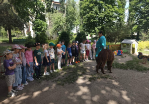 Pierwsze spotkanie z Alpakami - dzieci omawiają z właścicielką zwierząt zasady bezpiecznego kontaktu.