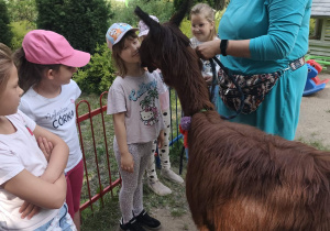 Brązowa alpaka przytula się do dziewczynki.