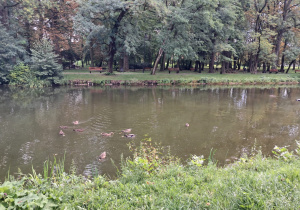 Dzieci stoją i oglądają kaczki.