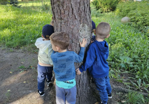 Dzieci przytulają się do drzewa w ogrodzie przedszkolnym.