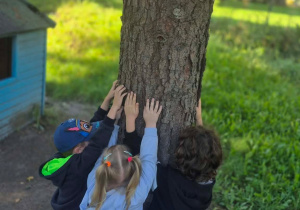 Dzieci przytulają się do drzewa w ogrodzie przedszkolnym.