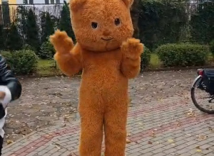 Miś